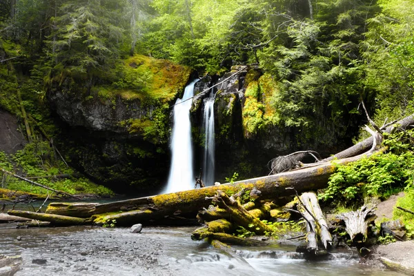 Bela água cai no parque nacional Mount Rainier — Fotografia de Stock