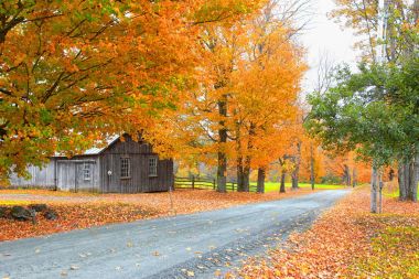 Doğal kırsal Vermont peyzaj sonbahar