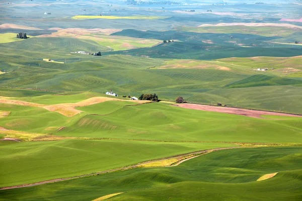 Vue aérienne du paysage Palouse depuis Steptoe butte — Photo