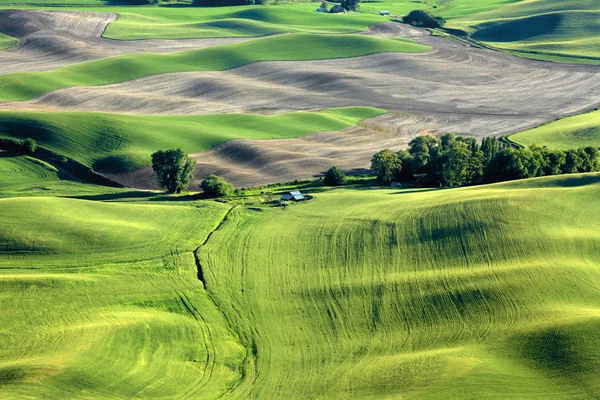 Aerial view of Palouse landscape from Steptoe butte — Stock Photo, Image