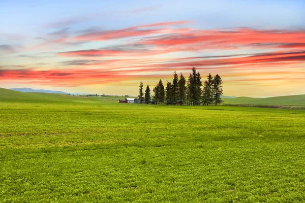 Palouse краєвид з фоном барвистий небо — стокове фото