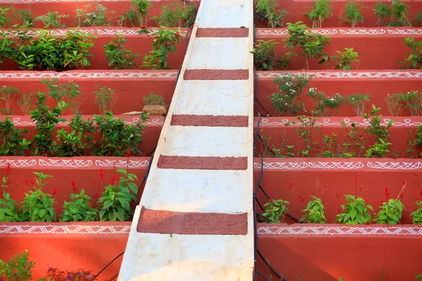 Plants arrangement between red walls — Stock Photo, Image