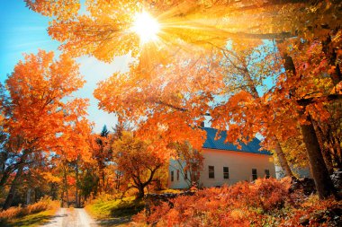 Sonbahar yapraklı tipik New England kasabasında küçük bir kilise.