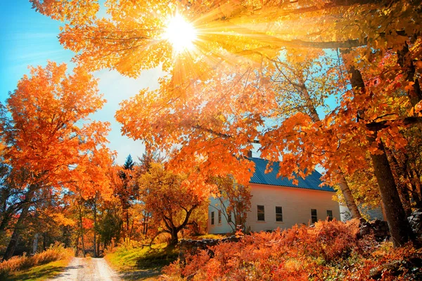 Маленька церква в типовому місті Нової Англії з падінням листя. — стокове фото