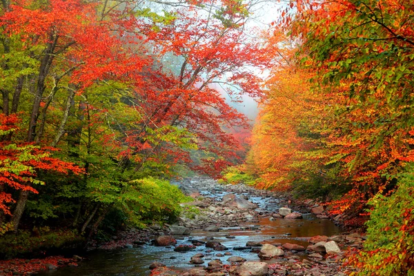 Cours d'eau dans le Vermont rural — Photo