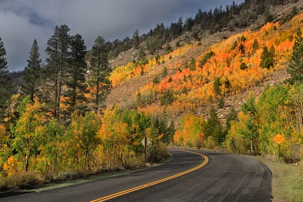 Malebnou podzimní jednotka v horách Sierra Nevada — Stock fotografie