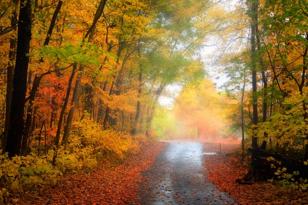 Bike trail through autumn trees and fog — Stock Photo, Image