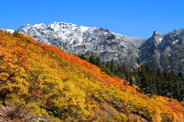 Tidig snö i höstens tid i Colorado nära Ourey — Stockfoto