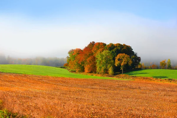 Vermont paisagem agrícola no nevoeiro da manhã — Fotografia de Stock