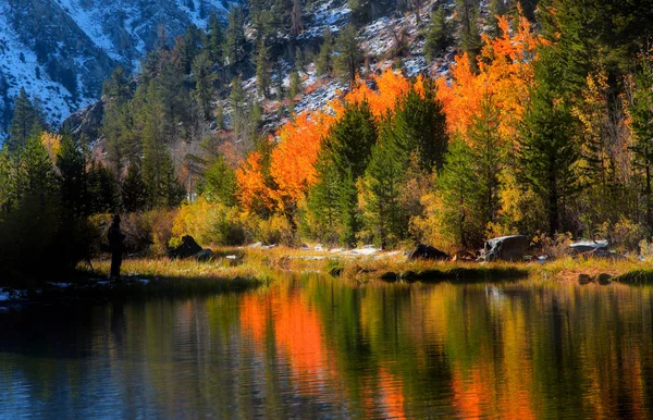 Észak-tó Kaliforniában, színes fa gondolatok — Stock Fotó
