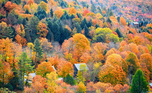 佛蒙特州山秋天的落叶 — 图库照片