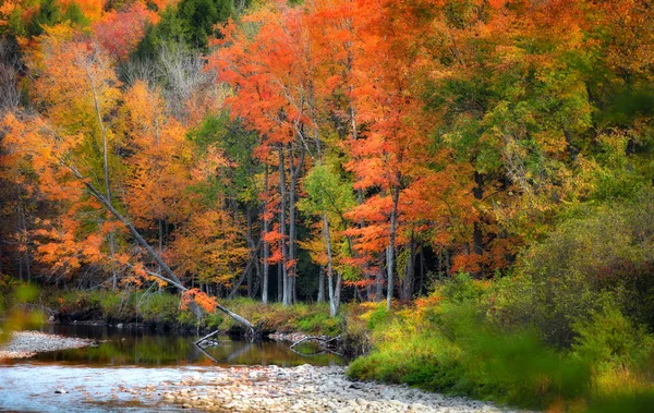 Herfst bomen door stroom in Vermont — Stockfoto