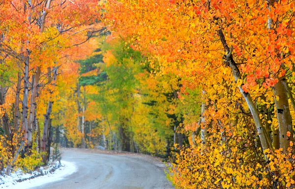 Podzimní stromy na cestě k severu jezera v Kalifornii — Stock fotografie