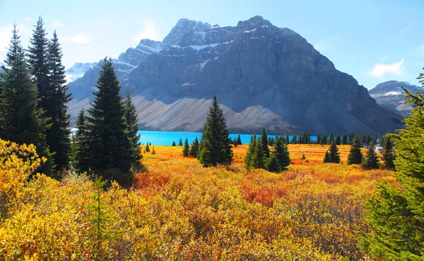 Scenic Bow Lake Landscape Banff National Park — Stock Photo, Image