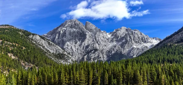 Panoramic View Canadian Rocky Mountains — Stock Photo, Image