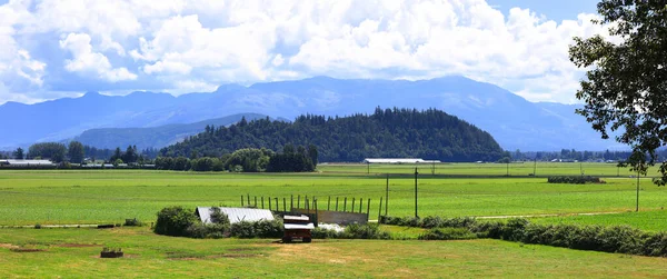 Landschappelijk Landschap Skagit Valley Washington — Stockfoto