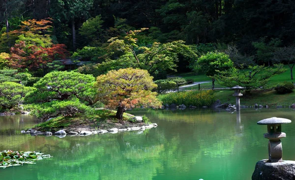 Krásná Japonská Zahradní Krajina Seattlu Washington — Stock fotografie