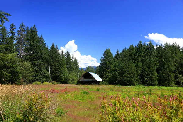 Abandoned Barn Rural Washington State — Stock Photo, Image