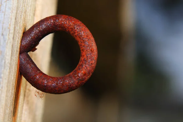 Çite Paslı Kanca Yakın Çekim — Stok fotoğraf