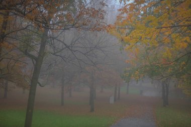 Montreal 'deki Mont Royal Parkı.