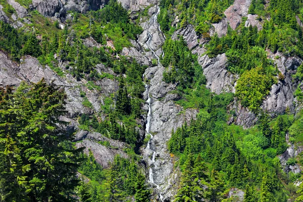 Caídas Agua Alta Los Glaciares Parque Nacional Monte Baker —  Fotos de Stock