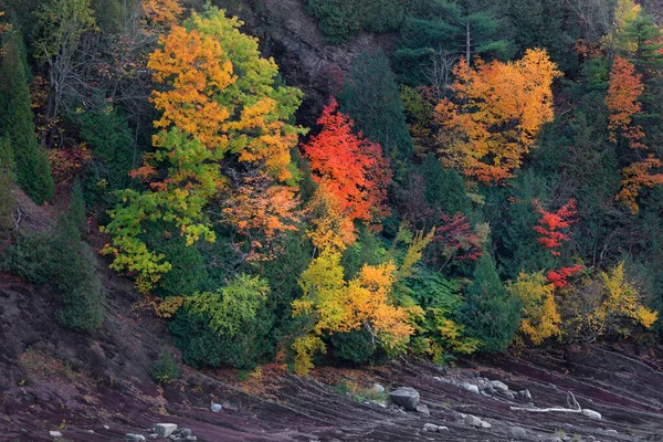 Kleurrijke Herfstbomen Aan Voet Van Heuvel Quebec — Stockfoto