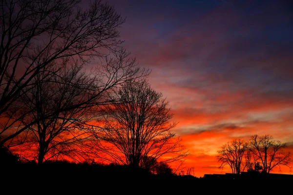 Träd Mot Flammande Himmel Efter Solnedgången — Stockfoto