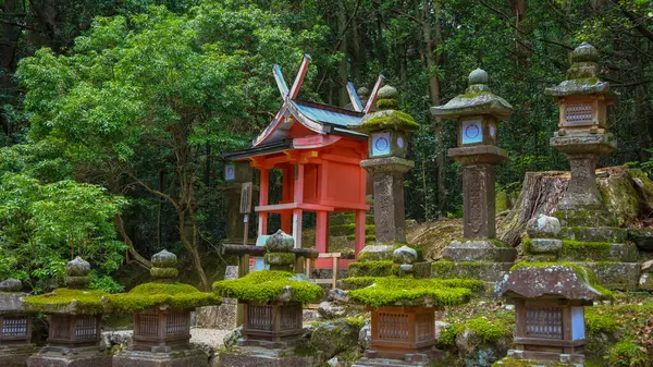Skalní Lucerny Parku Nara Svatyně Kasuga Taisha — Stock fotografie