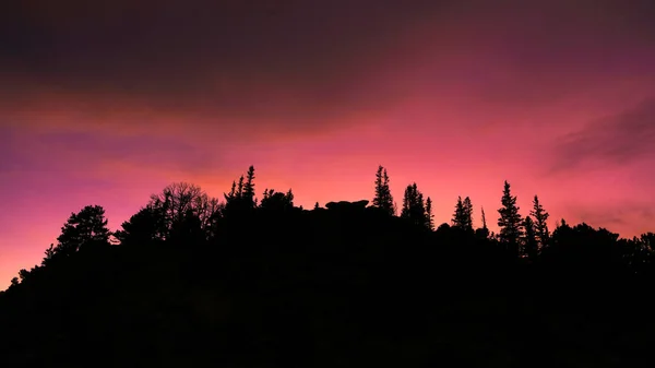Красное Вечернее Небо Над Соснами — стоковое фото