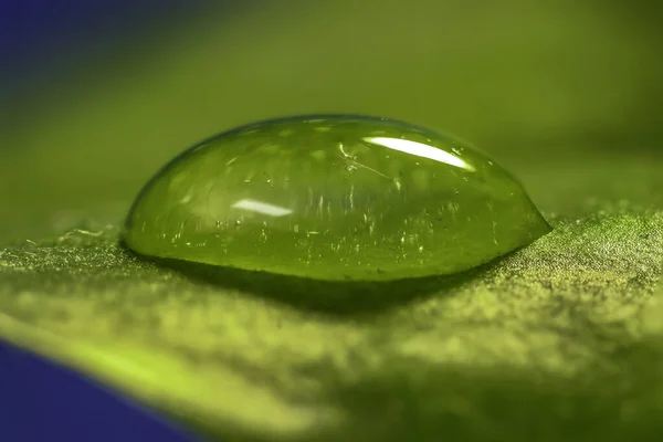 Extrême Plan Rapproché Une Grosse Goutte Eau Sur Une Feuille — Photo