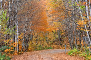 Quebec 'teki Parc de la Jacques-Cartier Ulusal Parkı' ndan geçen manzara yolu