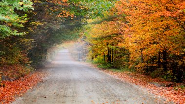 Sonbaharda Vermont, ABD kırsalında dolambaçlı arka yol