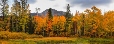 Sonbahar zamanı Telluride Colorado yakınlarında manzaranın panoramik görüntüsü