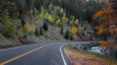 Scenic mountain drive near Aspen Colorado clipart