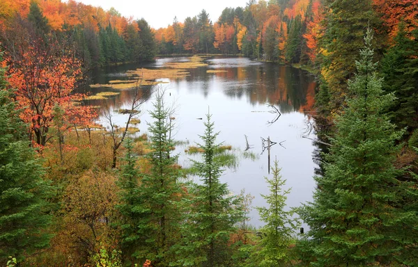 Paesaggio Autunnale Lungo Statale 329 Nella Provincia Del Quebec — Foto Stock