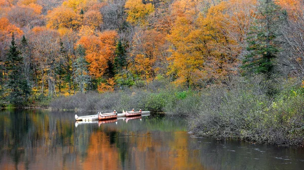 Canoes Parc National Jacques Cartier Quebec Canada — стокове фото