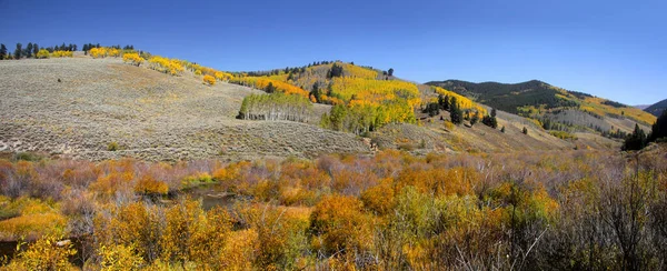 Paisagem Outono Cênica Perto Estrada Marshall Pass Colorado — Fotografia de Stock