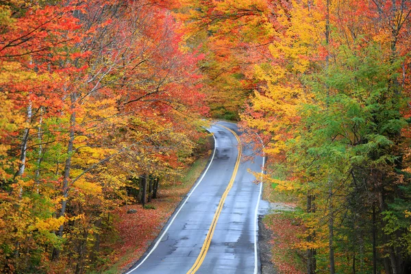 Scenic Drive Rural Vermont Autumn Time Bright Red Trees — Stock Photo, Image