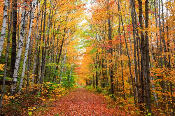 Scénická Ulička Vermontu Podzim — Stock fotografie