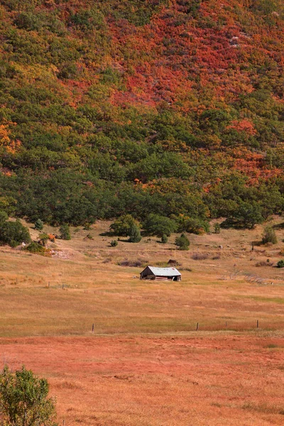 ロッキー山脈の真ん中に放棄された納屋コロラド州 — ストック写真