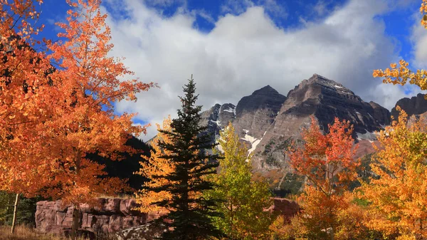 Maroonské Zvony Vrcholí Podzimními Stromy Coloradu — Stock fotografie