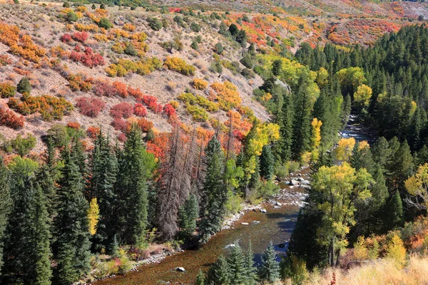 Fiume Marolt Diich Vicino Aspen Colorado All Inizio Dell Autunno — Foto Stock