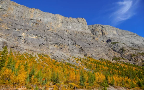 Höstlandskap Utsikt Från Icefields Parkway Jaspers Nationalpark — Stockfoto