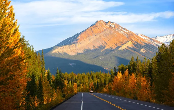 Promenade Panoramique Des Champs Glace Crépuscule Dans Parc National Jasper — Photo