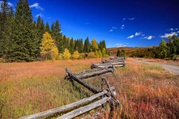 Scenic East Fork Dallas Creek Landscape Colorado — Stock Photo, Image