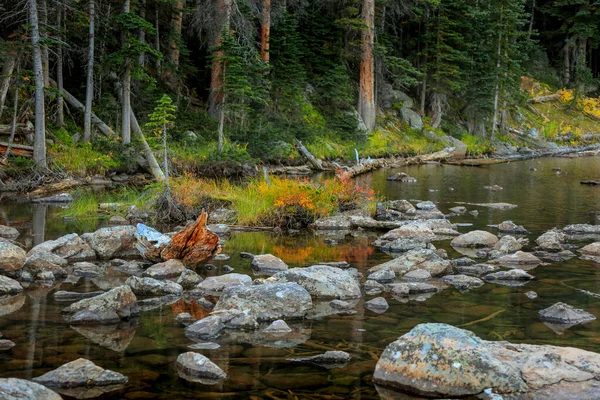 Őszi Lombozat Tyndall Patak Közepén Rocky Mountain Nemzeti Parkban — Stock Fotó