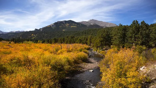 Paysage Pittoresque Dans Parc National Des Rocheuses Route — Photo