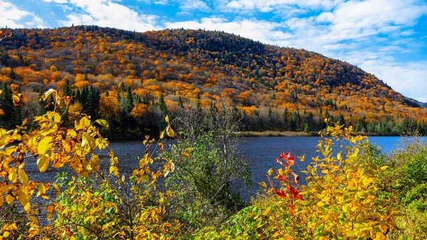 Jesienny Krajobraz Parku Narodowym Jacques Cartier — Zdjęcie stockowe