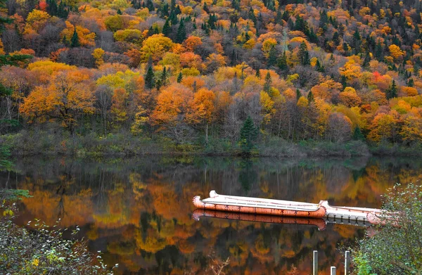 Kanoe Parc National Jacques Cartier Quebecu Kanada — Stock fotografie