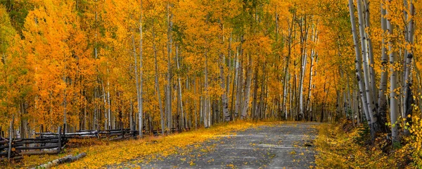 Vista Panorâmica Unidade Cênica Através Árvores Coloridas Aspen — Fotografia de Stock